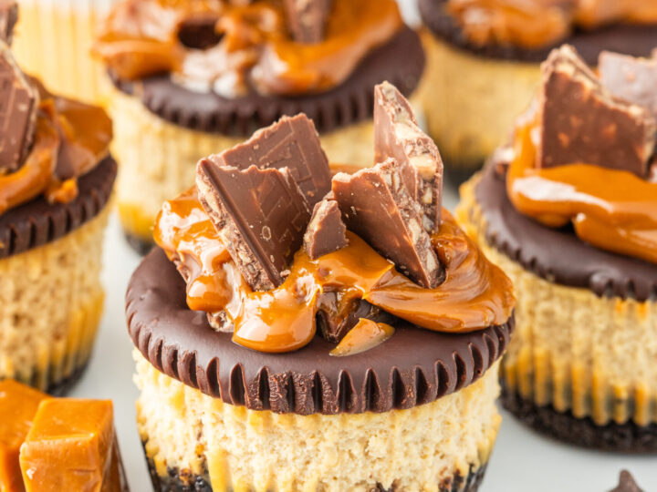 mini cheesecakes dulce de leche
