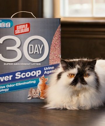 Simple-Solution-30-Day-Super-Absorbent-Cat-Litter