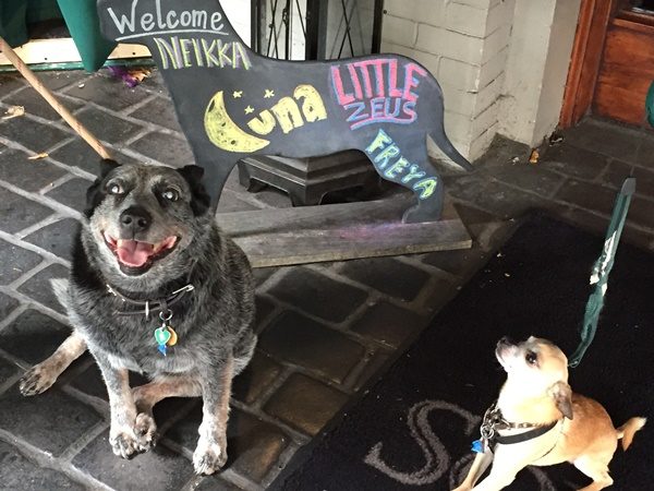 welcome sign with dogs