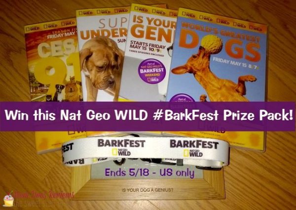 barkfest giveaway