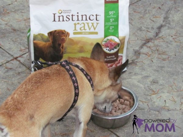 LZ and Instinct Raw Dog Food