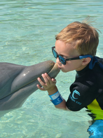 Andrew Kissing Dolphin
