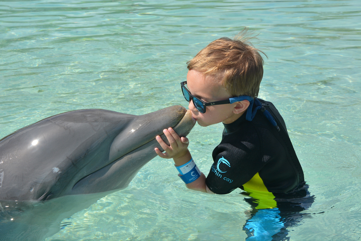 Andrew Kissing Dolphin