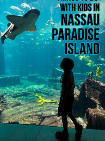 Things to Do With Kids in Nassau Paradise Island