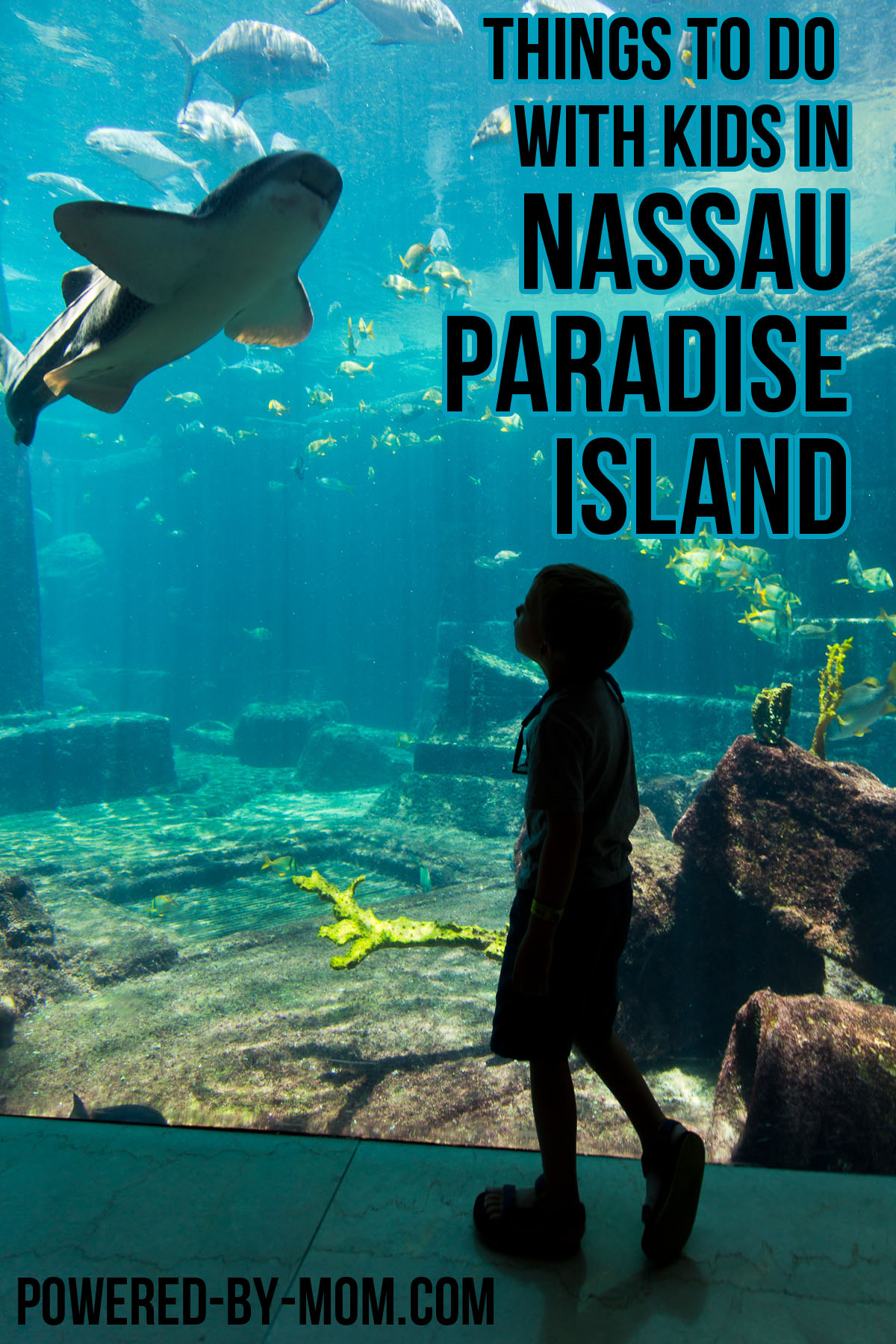 Things to Do With Kids in Nassau Paradise Island