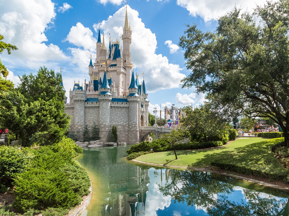 Disney Magic Kingdom Castle 