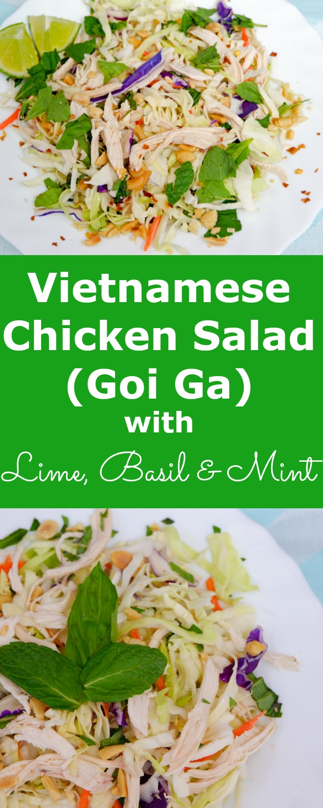 vietnamese chicken salad goi ga green
