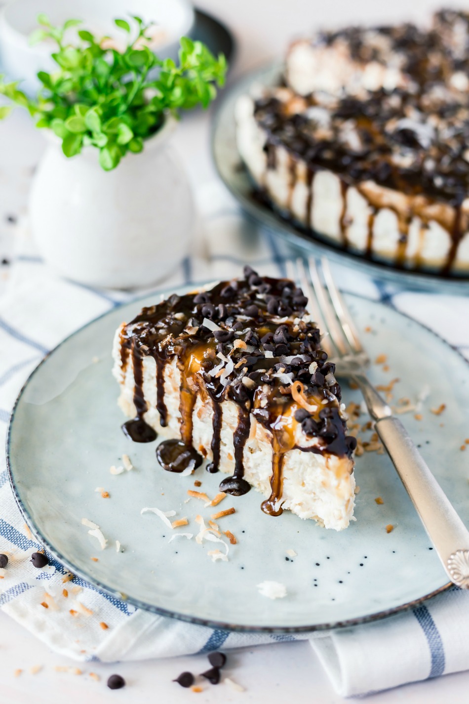 No bake samoa cheesecak