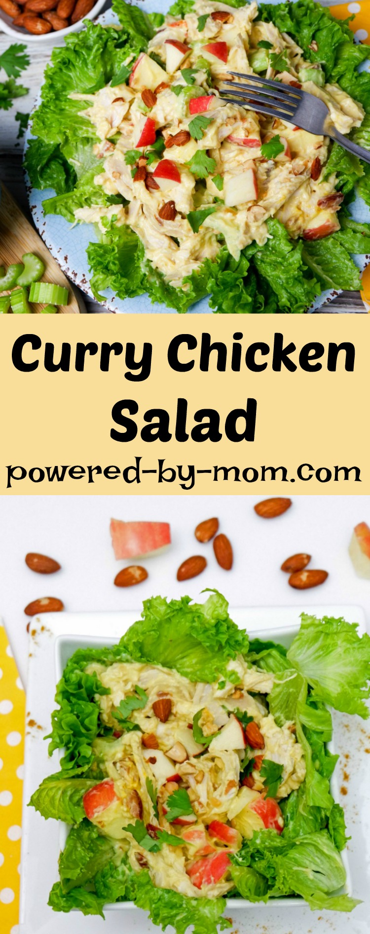 Curry Chicken Salad Recipe 
