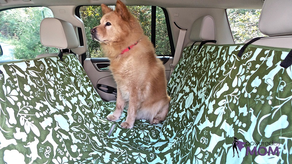 Molly Mutt Stylish Dog Car Seat Covers 