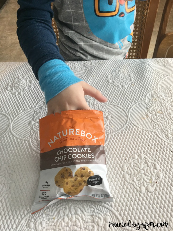 Naturebox Review - Powered by Mom
