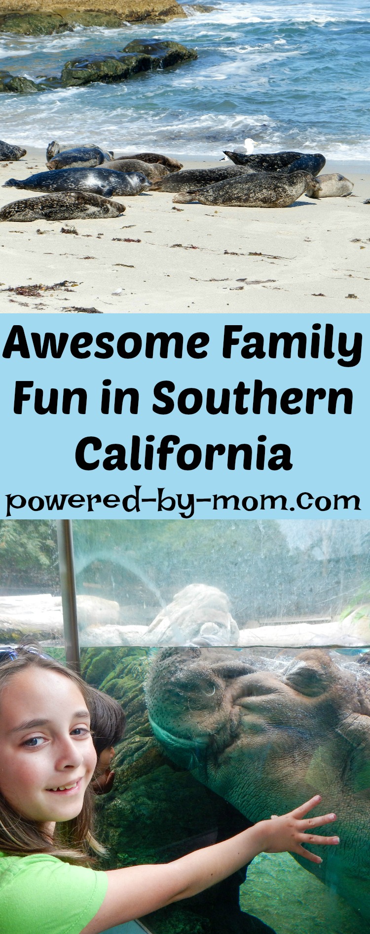 kid-friendly places in Southern California - La Jolla seals and sea lions childrens pool