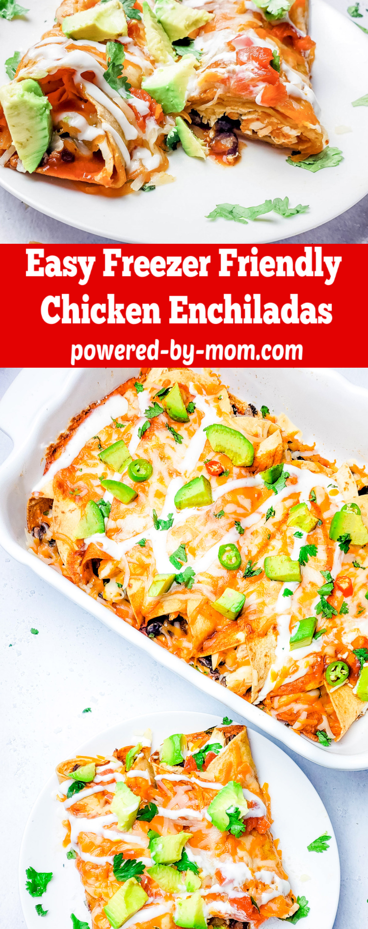 Easy Freezer Friendly Cheesy Chicken Enchiladas