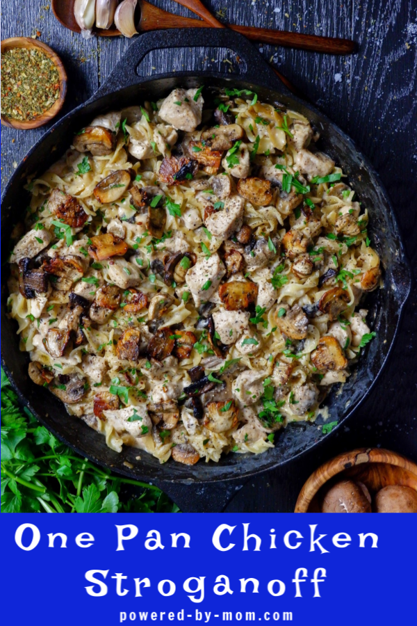 This delicious Chicken Stroganoff Recipe brings life to a classic dish by using chicken instead for a healthier but oh so tasty meal that is hearty and easy to make.