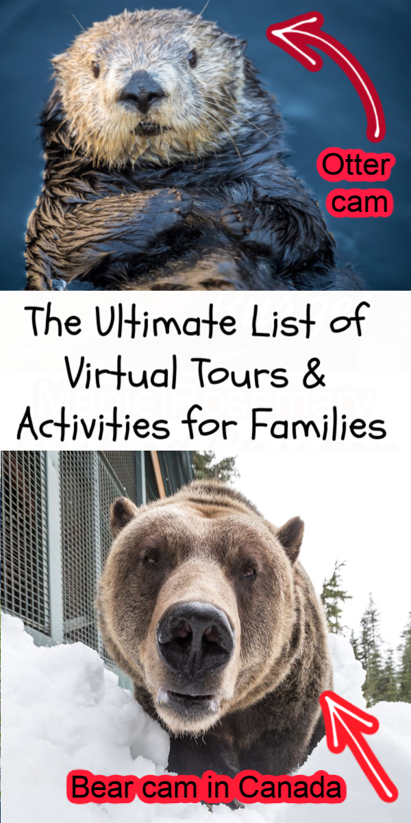 If you’re looking for some great online activities for families, we’ve got a list for you. The tours and activities will also take you all over the world from Canada, all over the United States to Europe, all without ever having to leave your home!