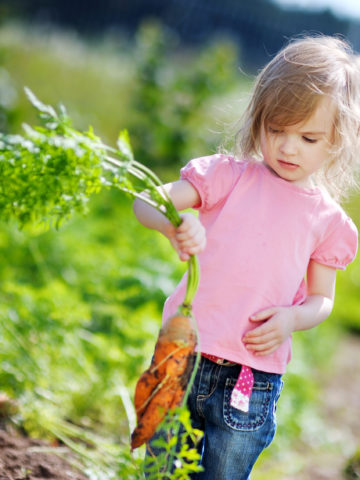 young girl gardening carrots