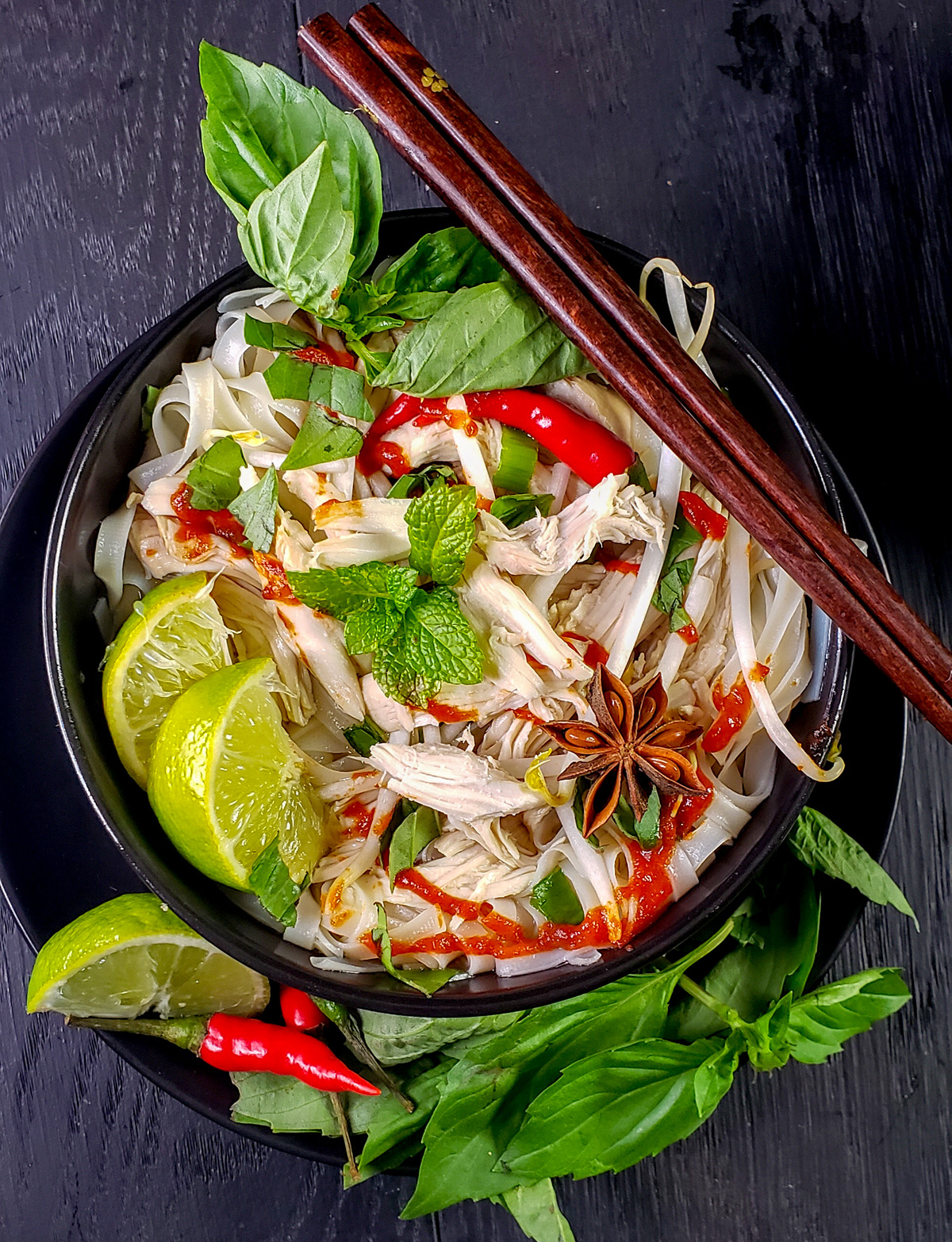 Vietnamese Pho Ga Recipe (Chicken Pho) in the Slow Cooker - Powered By Mom