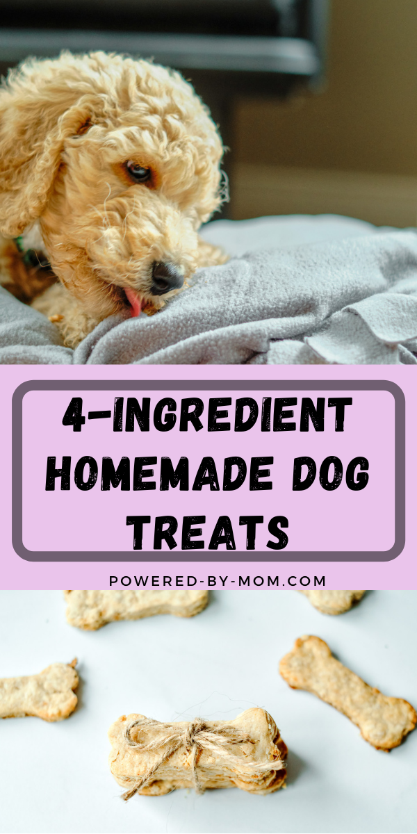 Homemade Dog Treats with Rolled Oats and Peanut Butter are a perfect choice for giving your dog a special treat you know has healthy ingredients!