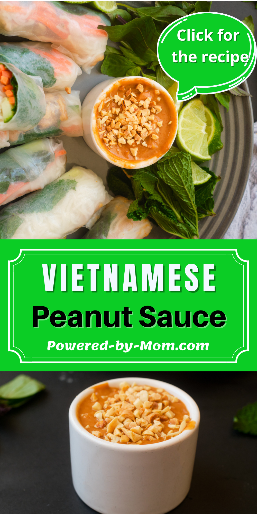 This authentic Vietnamese peanut sauce recipe is very easy to make and only needs a handful of ingredients. It's delicious when it's paired with Vietnamese Summer Rolls