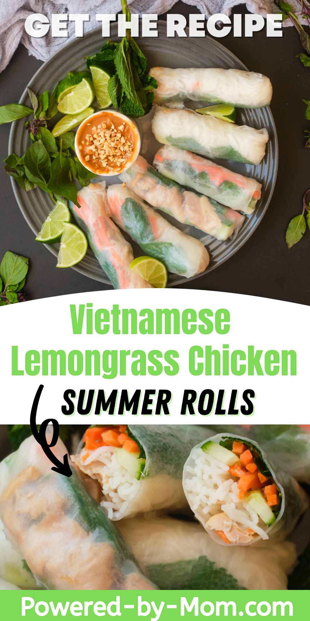 These Vietnamese Lemongrass Chicken Summer Rolls are full of flavour and a delicious and healthy snack or meal. Get the recipe now.