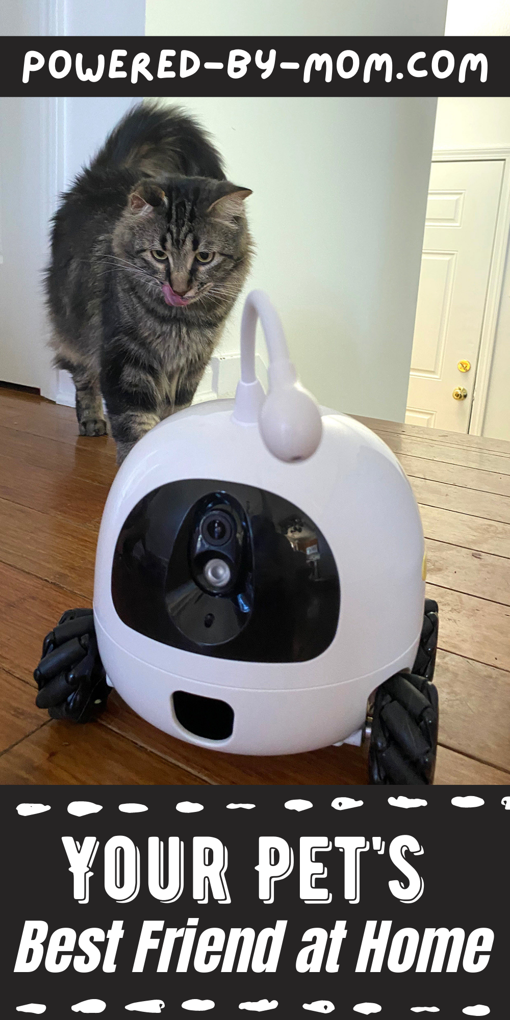 Rocki Robot to helps you care for your pets when you can't be there, with cam, mic, treats, and toys. It's a pet's best friend! 