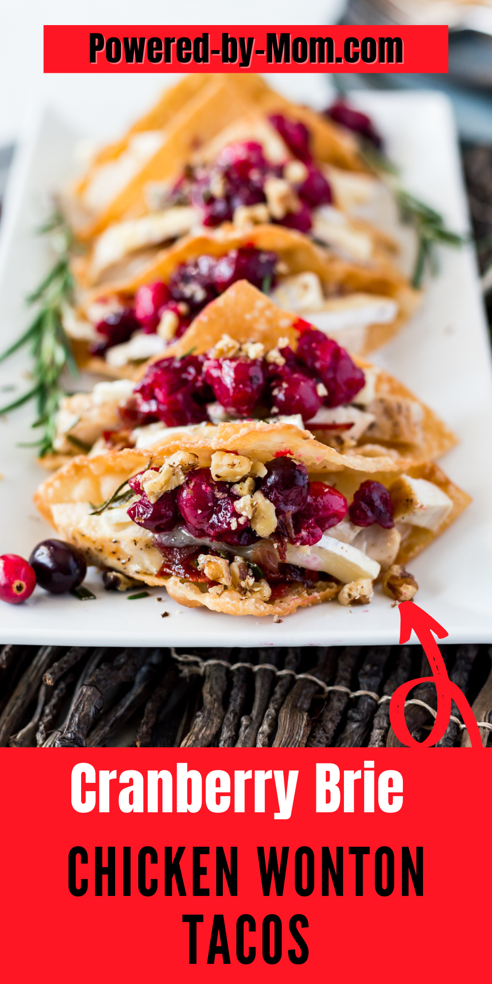 Festive and Tasty Cranberry Brie Chicken Wonton Tacos are a fabulous holiday appetizer. They are a treat for your tastebuds. Find out how to make them now. 