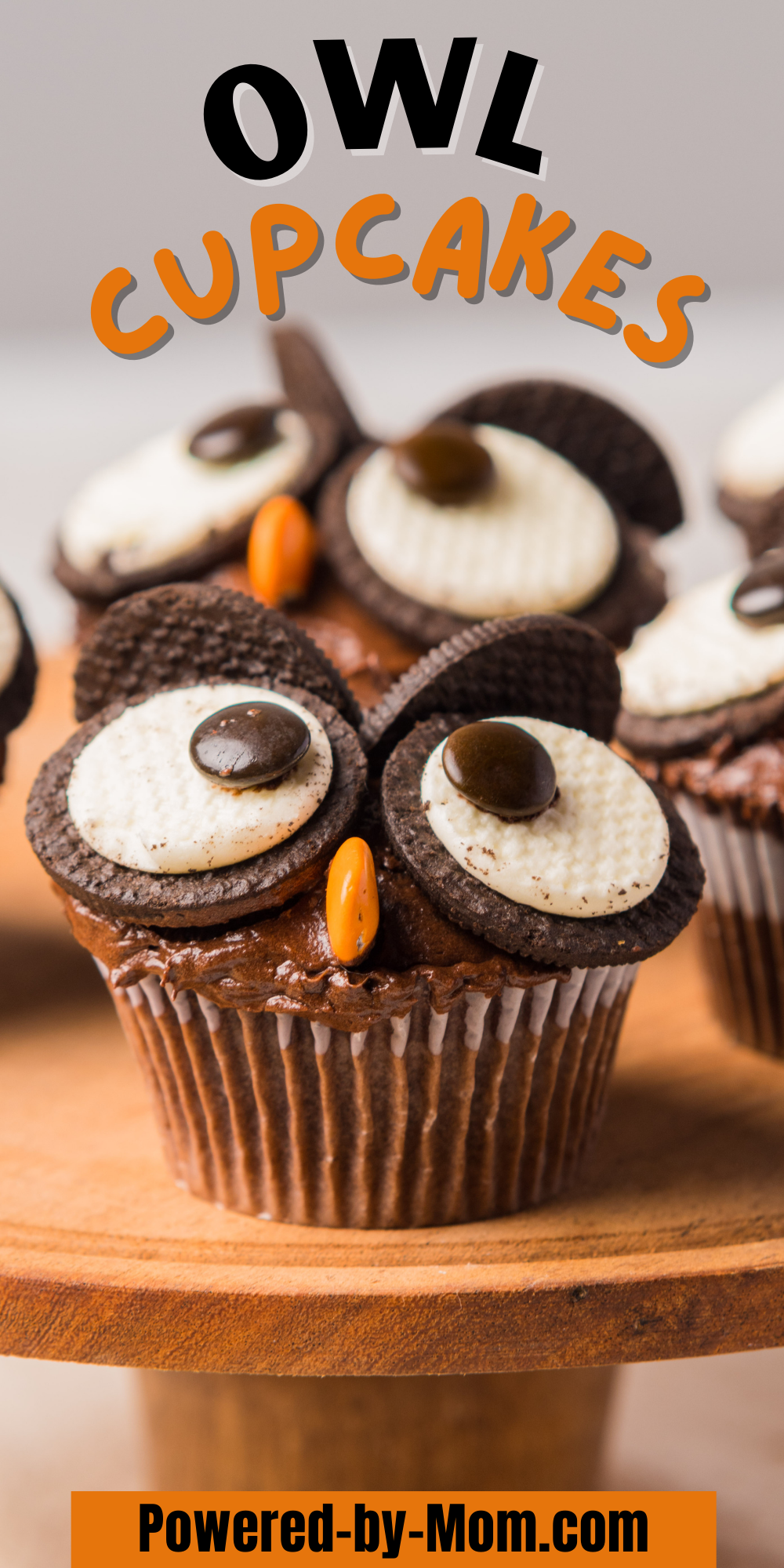 These Oreo Owl Cupcakes are not only adorable but they are easy to put together, dare we say it's a hoot to make them? Get the recipe now. 