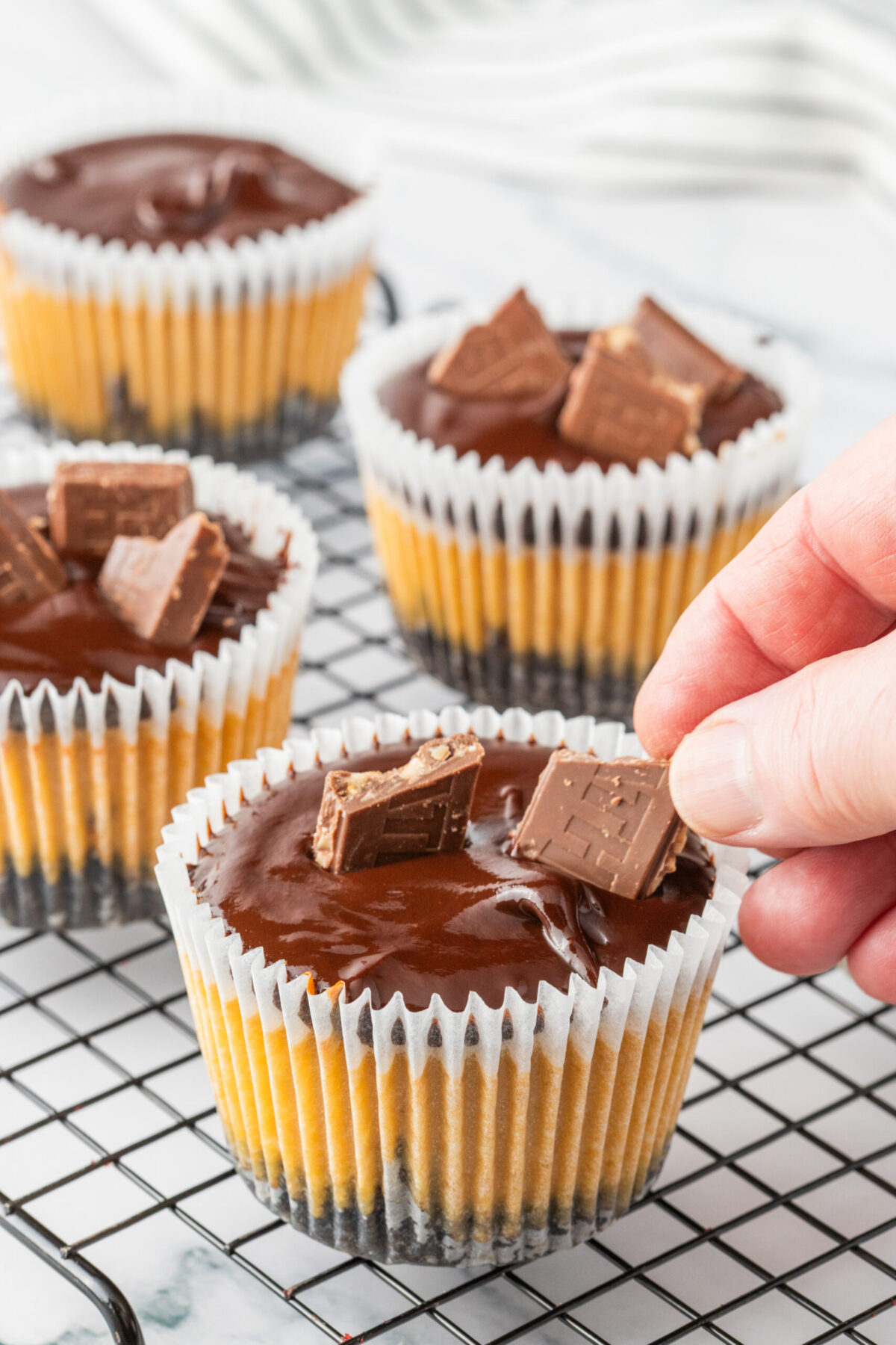 recipe dulce de leche cheesecake. mini cheesecakes with chocolate ganache and pieces of Heath chocolate bar.